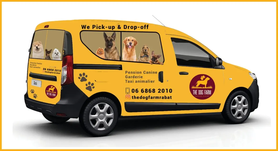 TAXI PET
