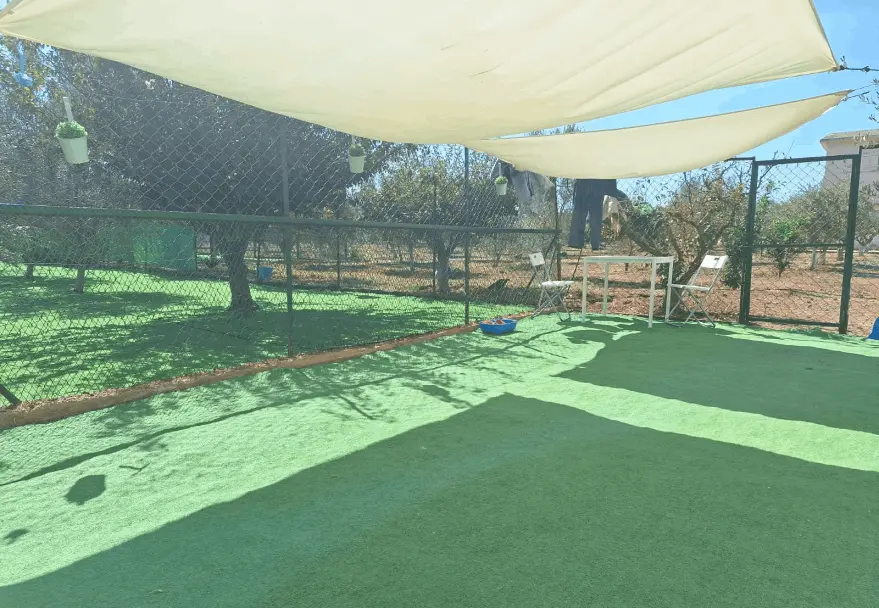 farm 9