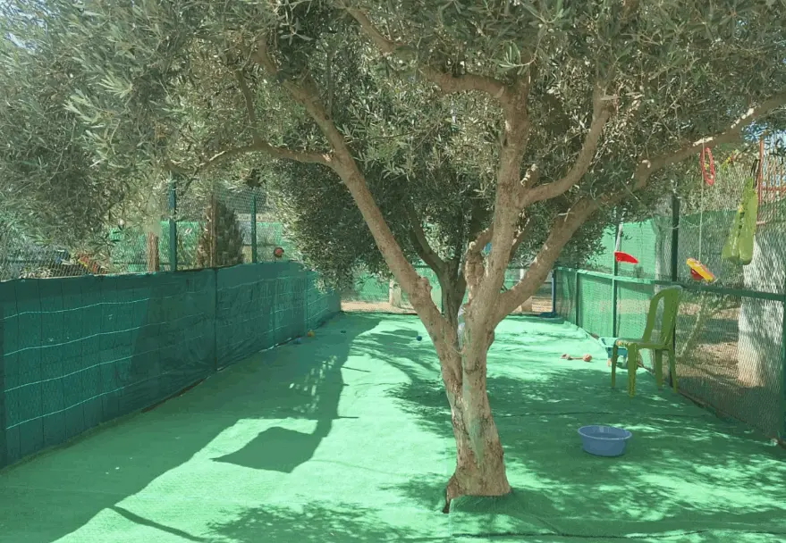 the dog farm 3