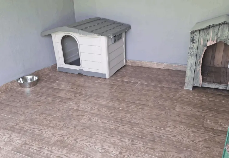 the dog farm